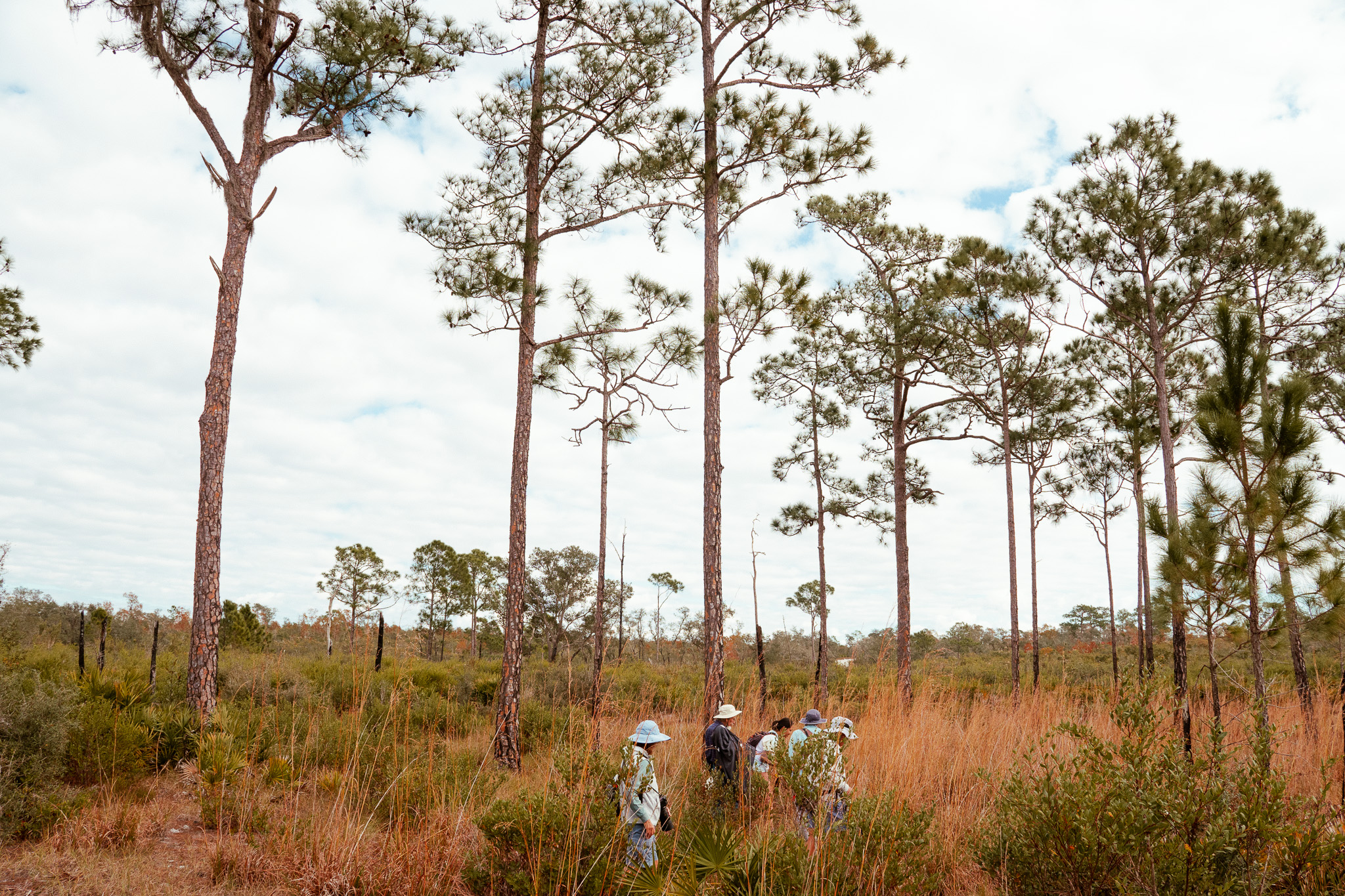 2024: Allen David Broussard Catfish Creek Preserve State Park
