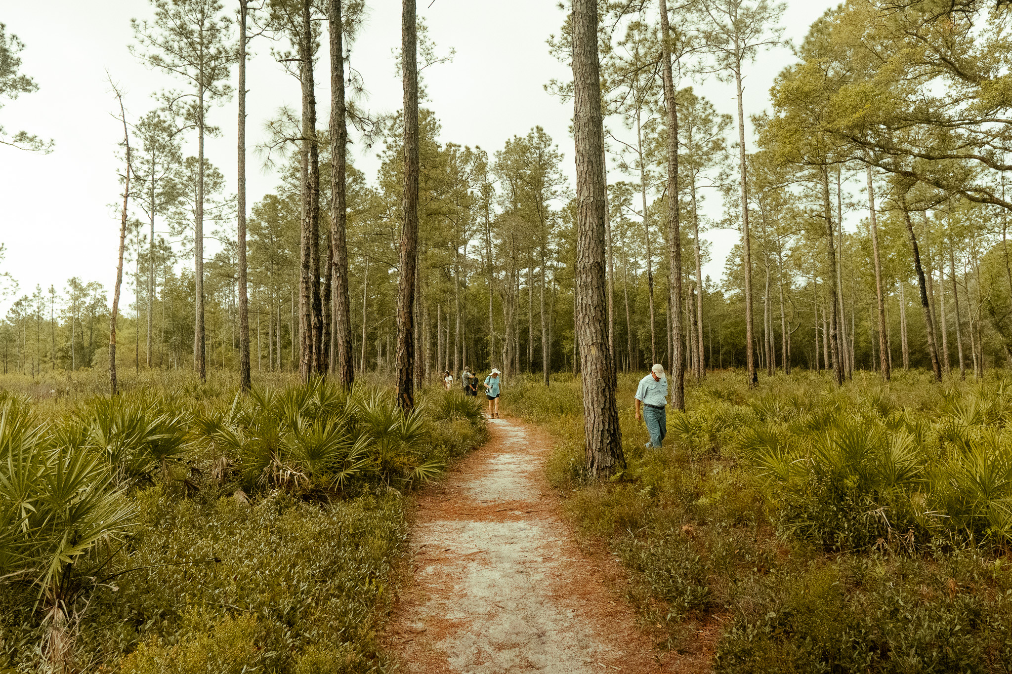 2023: Payne’s Prairie State Park